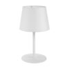VAIO WHITE LAMPA SUFITOWA 5