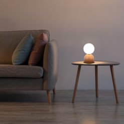 MIKI SALMON LAMPKA NOCNA 1XG9