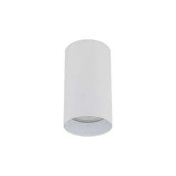 AMIS WHITE  DOWNLIGHT