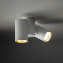 AMIS WHITE DOWNLIGHT 2XGU10