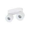 SPARK DUO WHITE CCT 20W