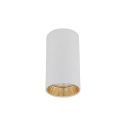 AMIS WHITE  DOWNLIGHT