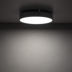 VELIS CHROME PLAFON LED 24W IP54