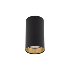AMIS BLACK DOWNLIGHT