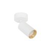 AMIS WHITE  DOWNLIGHT