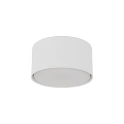 TOP WHITE LAMPA SUFITOWA 1XGX53 TOP WHITE LAMPA SUFITOWA 1XGX53