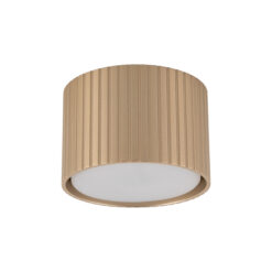 FERRO CHAMPAGNE DOWNLIGHT+ GX53 FERRO CHAMPAGNE DOWNLIGHT+ GX53