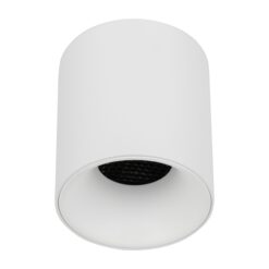 BLAZE WHITE CCT 12W