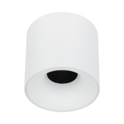 BLAZE WHITE CCT 30W