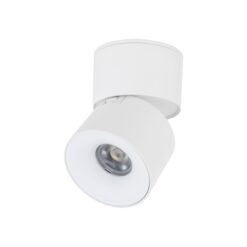 SPARK WHITE CCT 10W SPARK WHITE CCT 10W