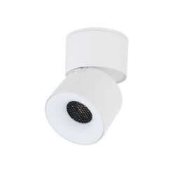 SPARK WHITE CCT 10W