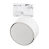 TRACER SZYNA WHITE 2M