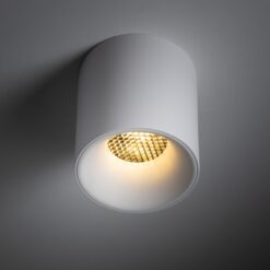 BLAZE WHITE CCT 12W