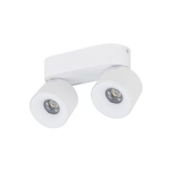SPARK DUO WHITE CCT 20W